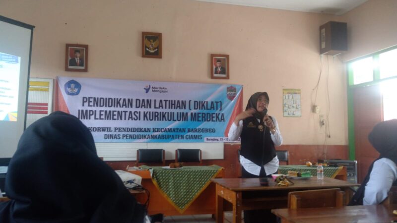Pemateri sedang memaparkan materi diklat