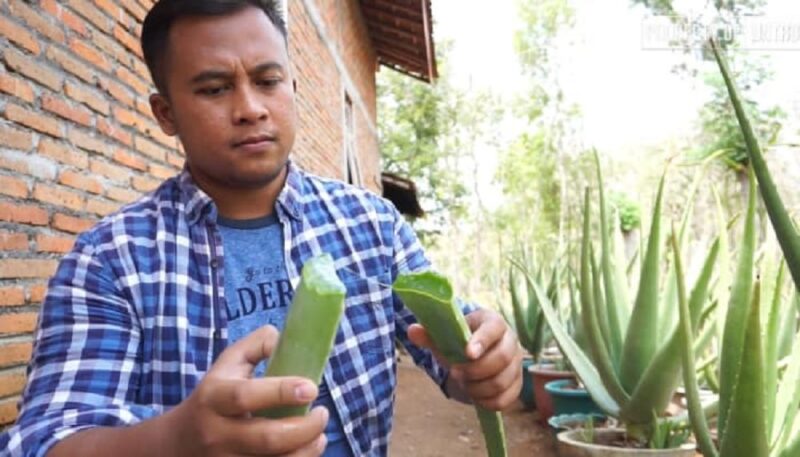 Alan Evendi, CEO Aloe Vera. (FOTO: Dok Pribadi)